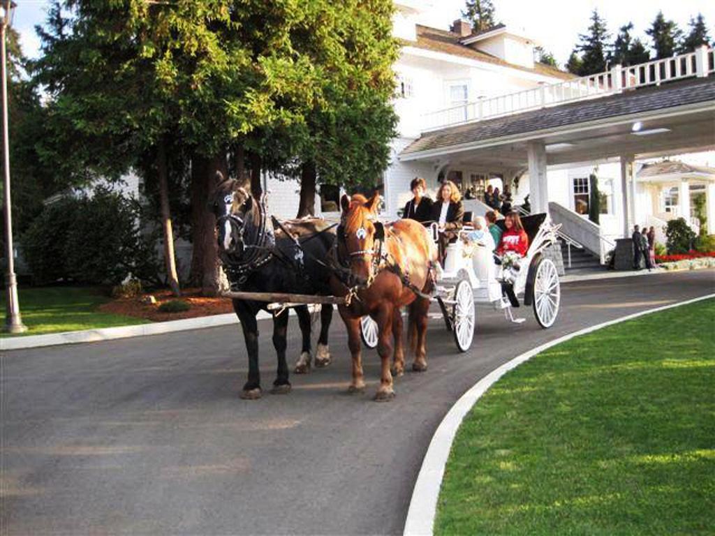 Crown Mansion Boutique Hotel & Villas クアリカム・ビーチ エクステリア 写真